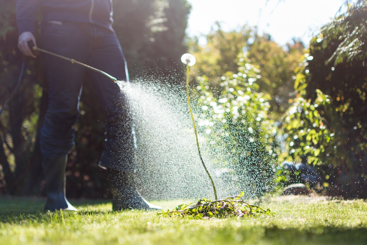 Roundup Weed Killer Cancer Lawsuits